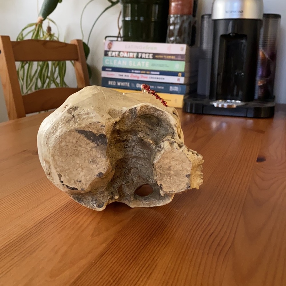 NWOT Princess Skull - Picture 5 of 5